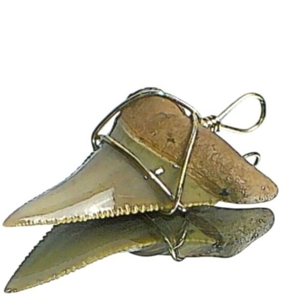Fossilized Shark Tooth Pendant Wrapped In Silver Wire Unique Vintage Jewelry - Picture 1 of 5